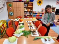 245225485 600239791156670 9146353575781558283 n