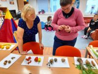 245328502 272140644784455 3174117806691786608 n