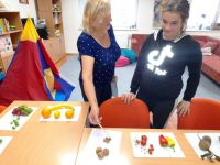 245424212 612269506809938 6778559493782629675 n