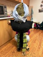 278876771 414053037217238 1656499583034499012 n