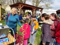 278368379 1019197325691368 9037373727170382319 n