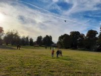 248265735 608456890292881 1126862999941893016 n