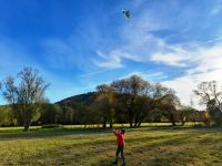 249222613 275351807809629 687667585306000449 n