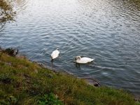 242906630 605710890844422 8548873733106451084 n