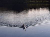 247611075 402248068248551 7488219369614567552 n