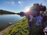 247735149 6309576229084641 7111102856300579268 n