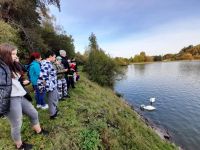 247898502 611590806537099 270287135092240529 n