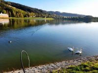 247957713 1213087762510697 6093602933932738551 n