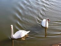 248046199 879629006246778 8394010650178558672 n