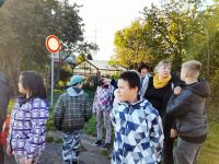 248202733 560144175061425 3293650668248474129 n