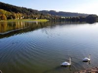 248443461 247269577371243 3716236682915683105 n