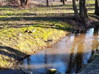 275310863 249282610746690 1851678498825119348 n