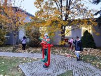 251092019 409636610776938 1178301003434232062 n