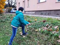 251107048 406540521136448 4214731572005613386 n