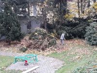 251604680 1080837916102058 2936643548332733646 n