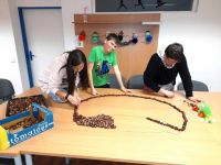 256069797 1258224154696908 1395455024636207184 n