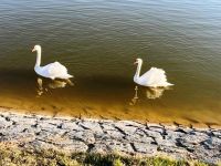 275187700 5071508866243460 6887428129294912877 n