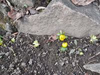 273476542 1848621471993897 5886756428284172030 n