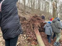 274134789 550771212654742 3193215030633142722 n