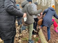 274228536 265563285729796 4658521614483312899 n