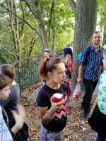 244622533 404344017734387 5320568267051307952 n