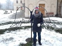 267190677 456545209170374 1077446444744213070 n